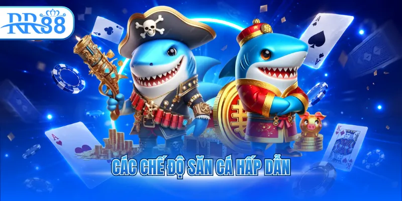 cac che do san ca hap dan 7