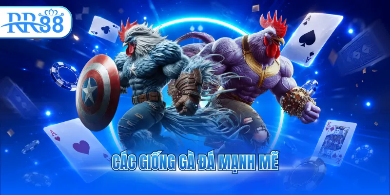 cac giong ga da manh me 7