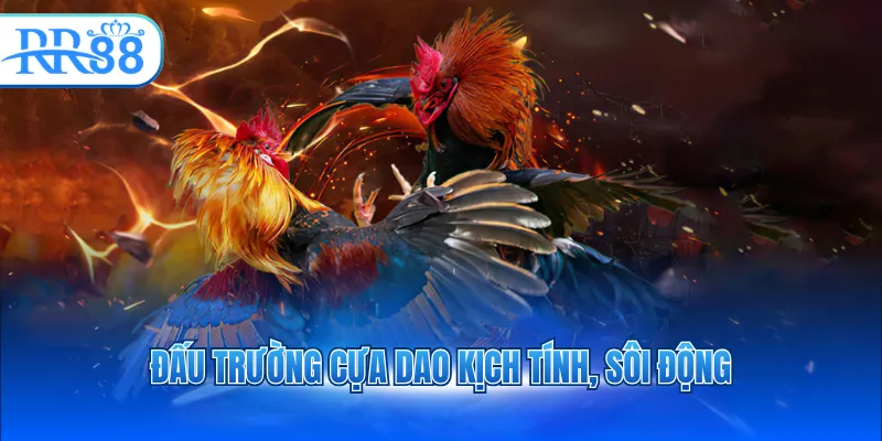 dau truong cua dao kich tinh soi dong 3