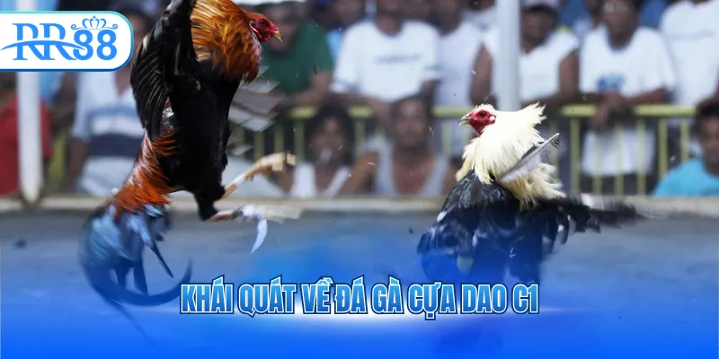 khai quat ve da ga cua dao c1 3