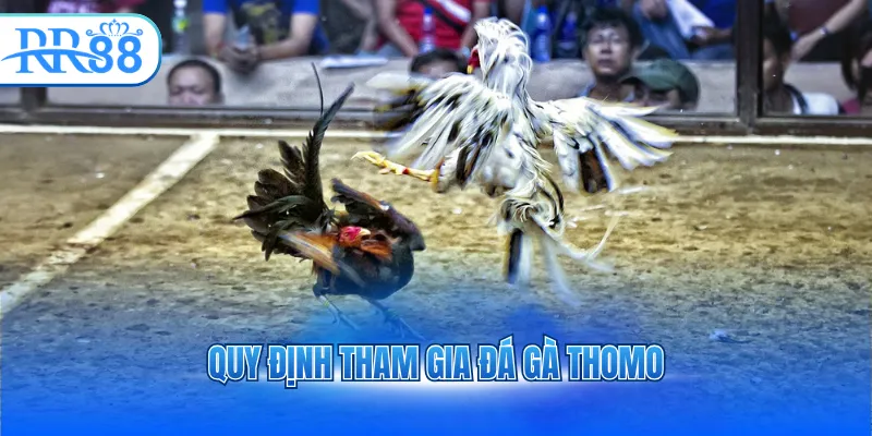 quy dinh tham gia da ga thomo 3