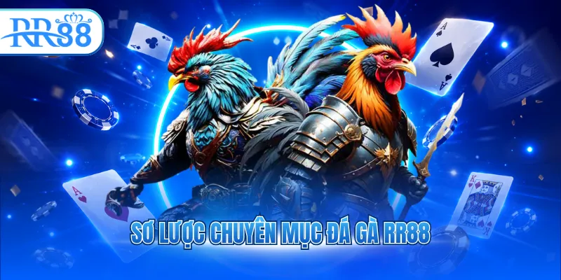 so luoc chuyen muc da ga rr88 7