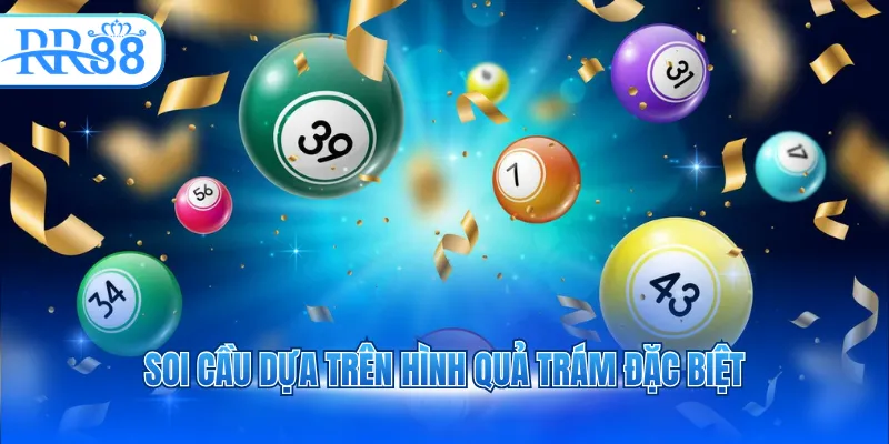 soi cau dua tren hinh qua tram dac biet 3