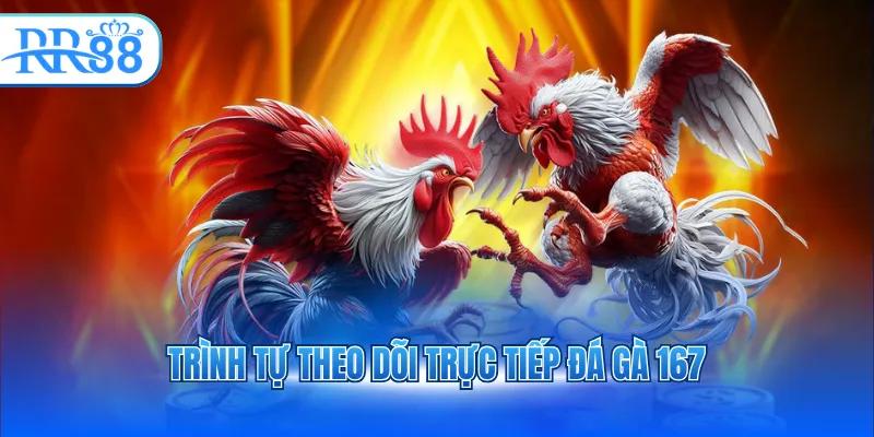 trinh tu theo doi truc tiep da ga 167 3