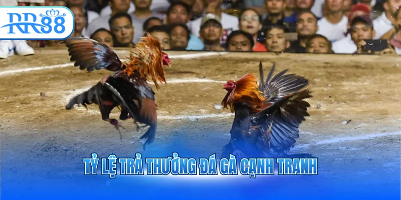 ty le tra thuong da ga canh tranh 3